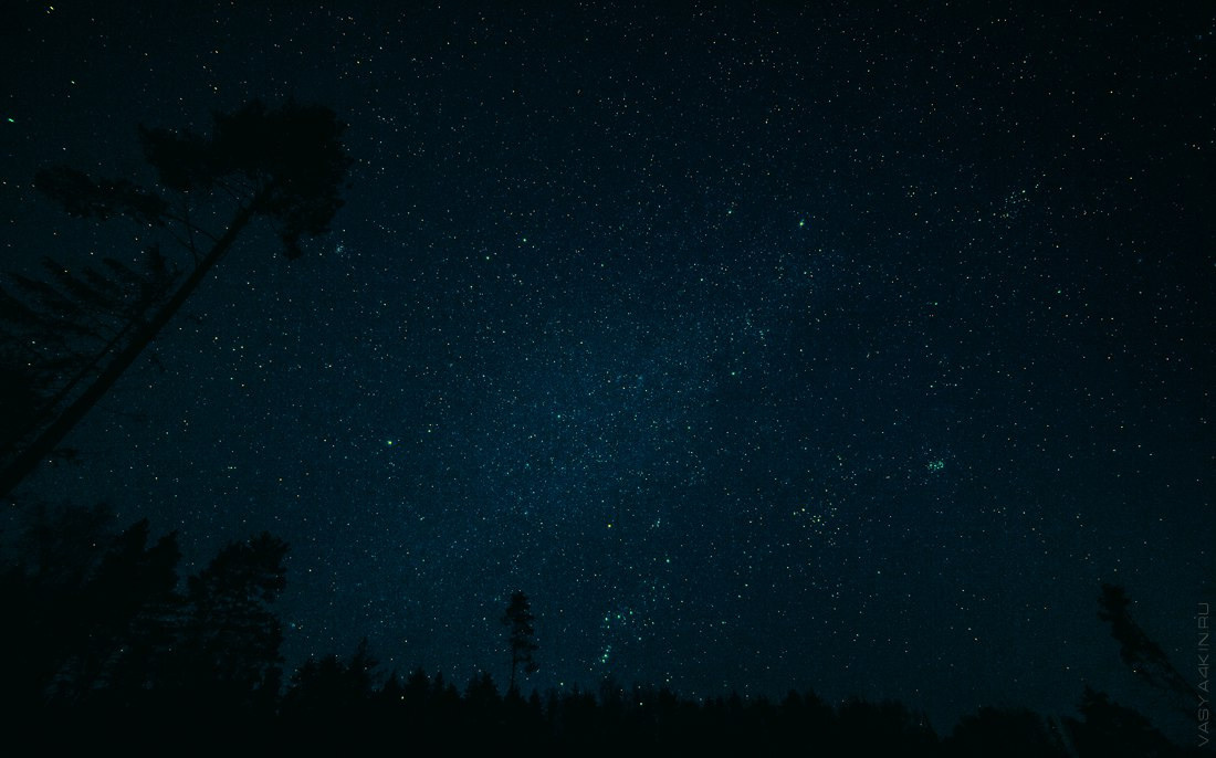 фотографирование свадебного шампанского