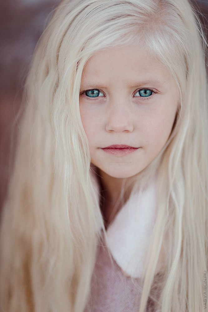 Очарование свадебных мгновений