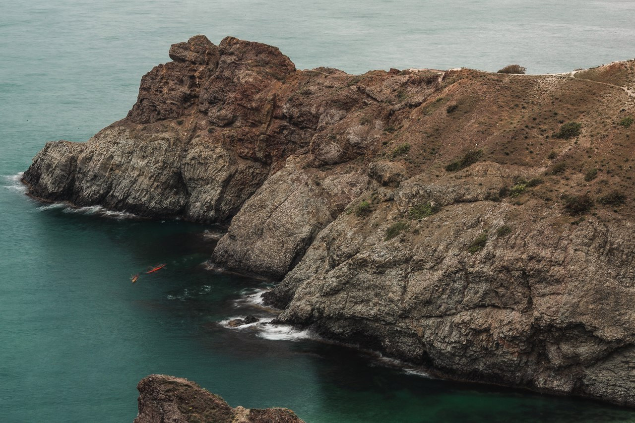 свадебная фотография с пушистыми игрушками