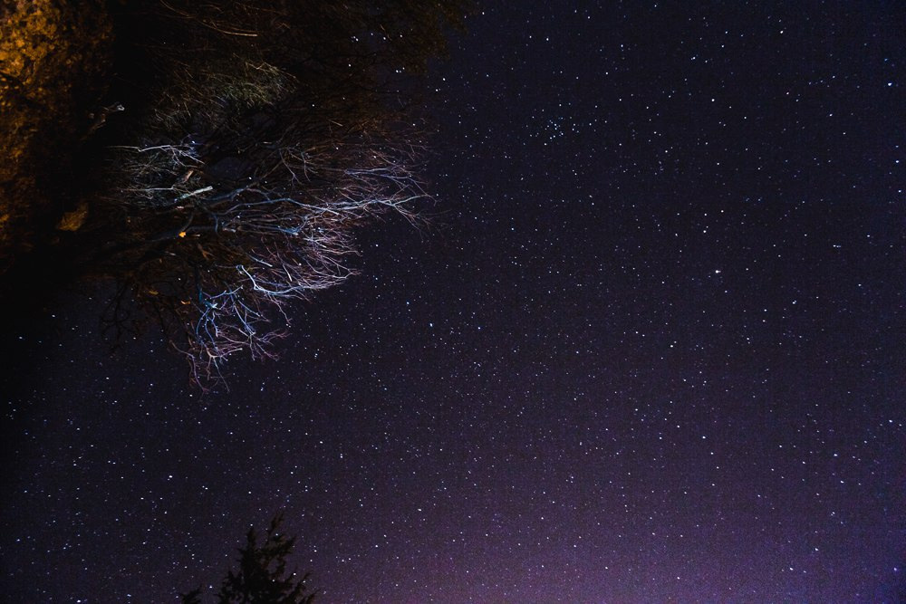 свадебный букет