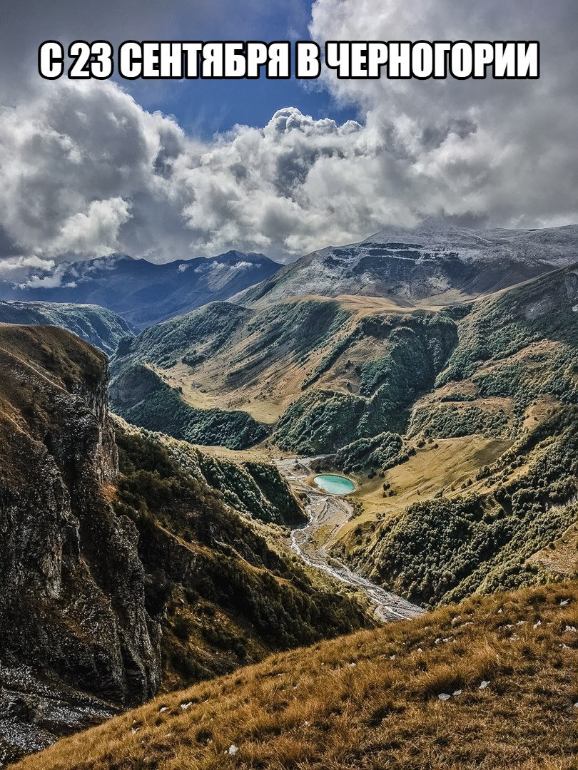 Молодожены в объятиях на свадебном фото среди ярких листьев