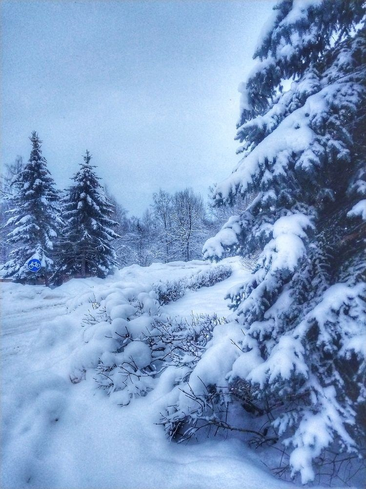 35 AWARDS. Семейный и свадебный фотограф в Москве и Домодедово Анна Авилочкина