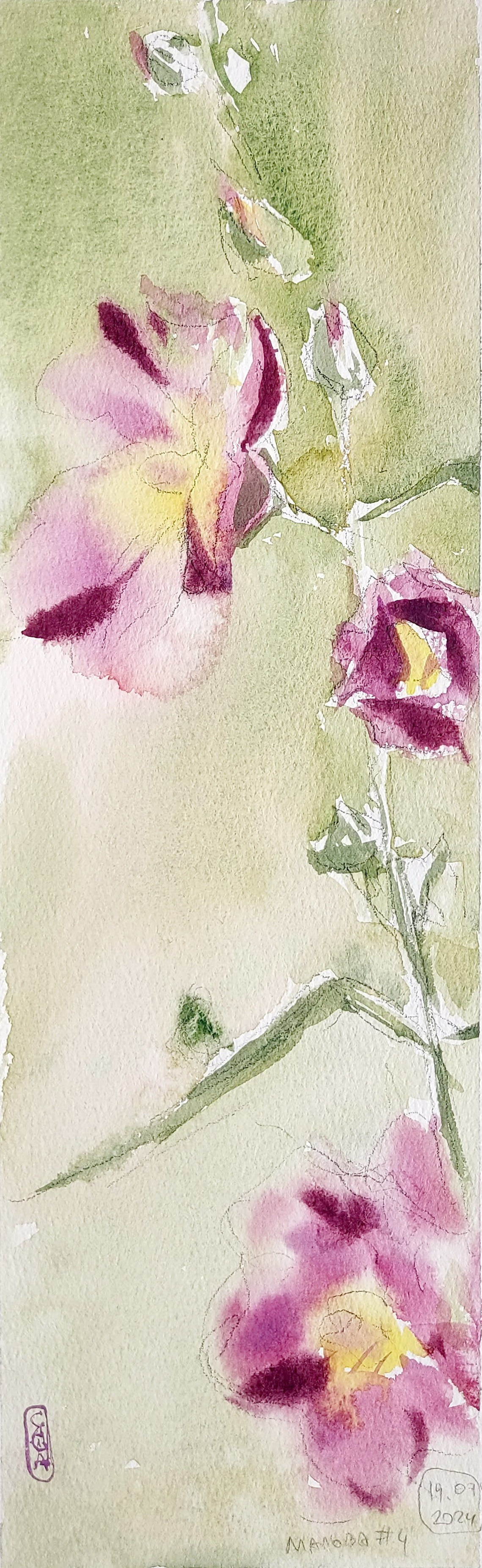 Flowers. Alexander Manaenkov | Watercolor Artist from Siberia