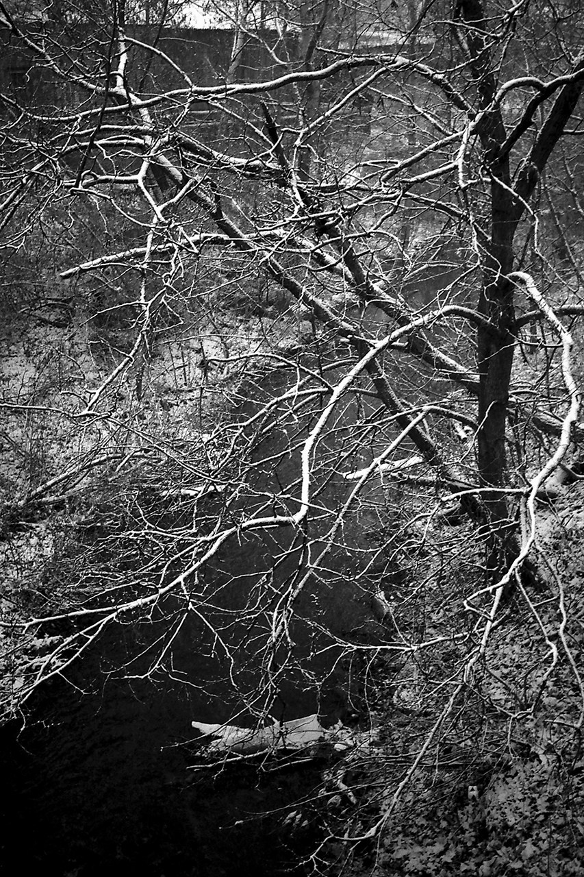 РАЗНОЕ. Андрей Пономарёв