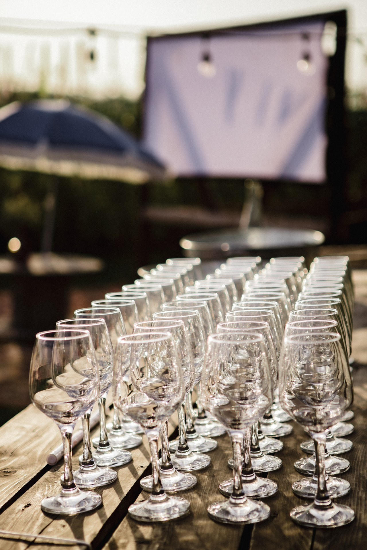 СЫЧ: Музыка на закате. Анастасия Попова — свадебный и репортажный фотограф | Воронеж, Павловск