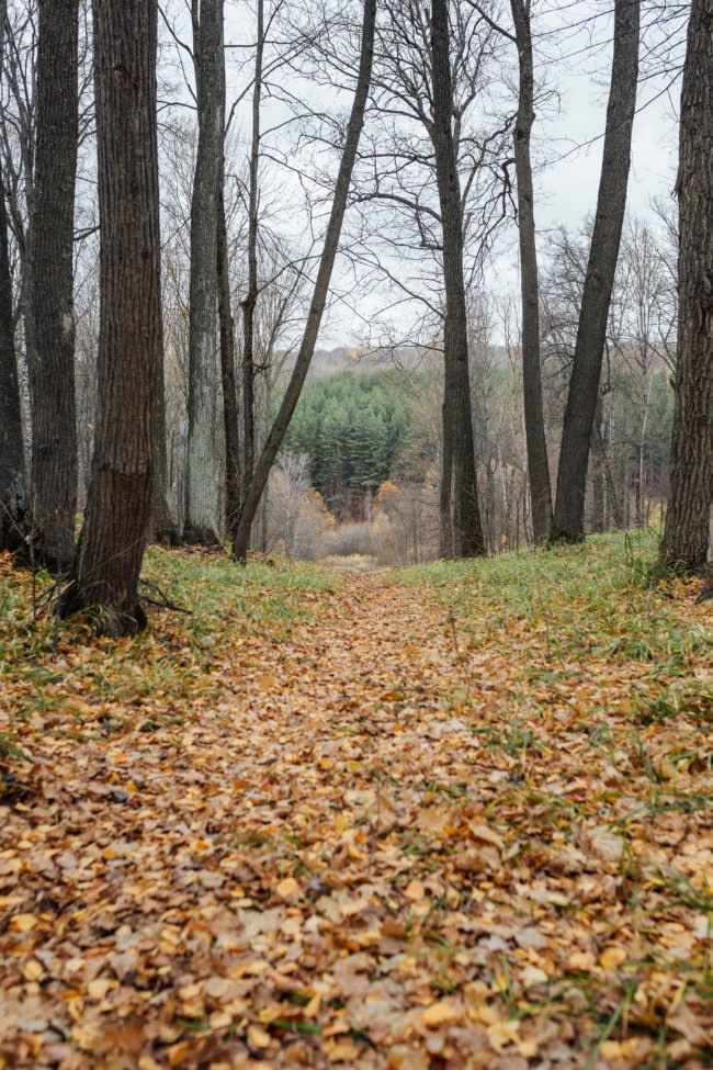 Все професссионалы на свадьбе. Павел Козырь — профессиональный фотограф в Пензе