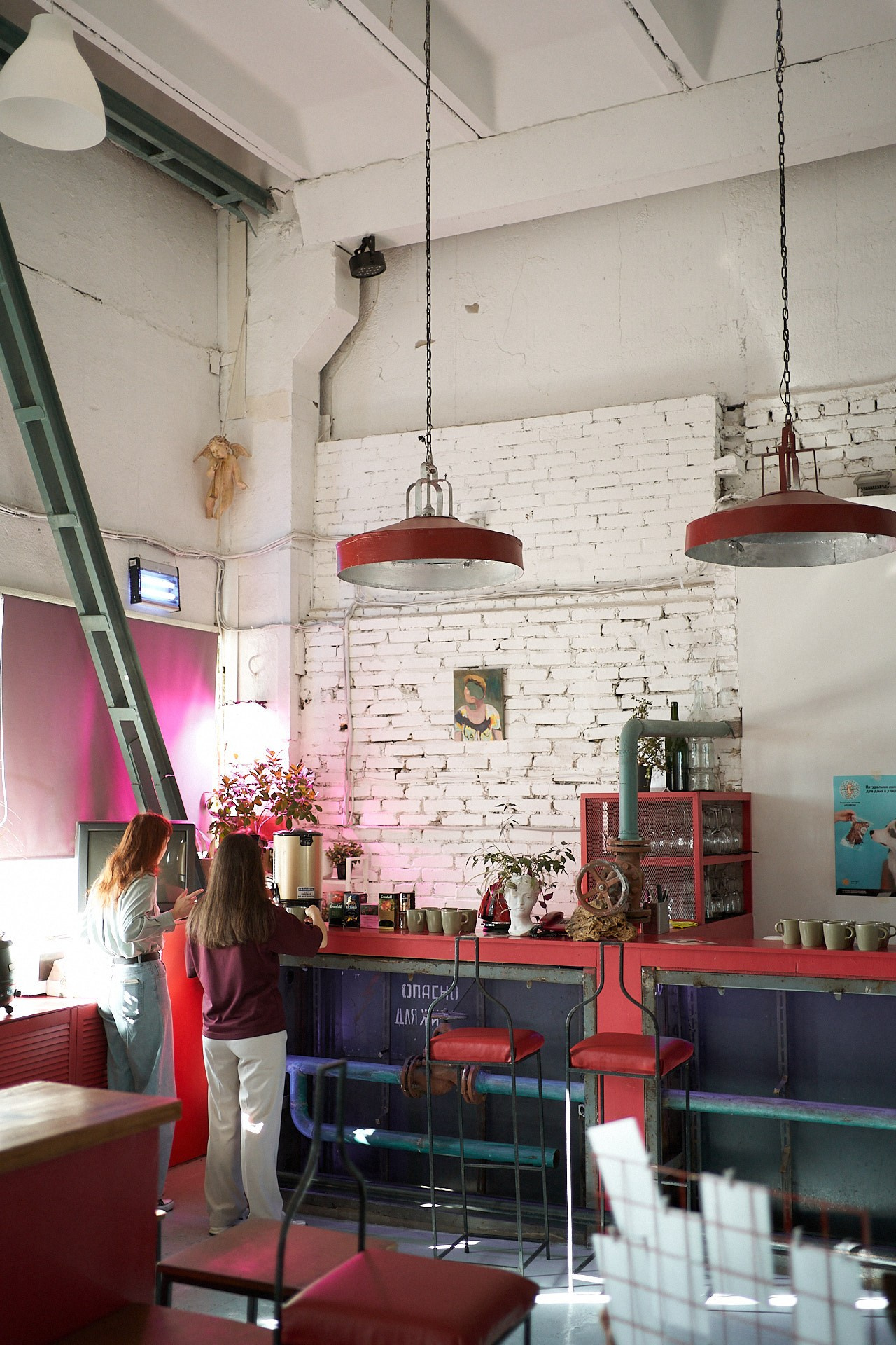 Пёсобиз. Фотограф анималист Москва Дарья