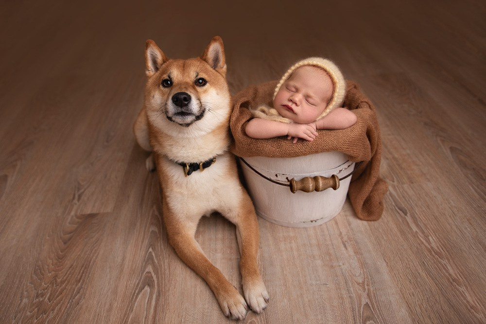 Новорожденные. Фотограф новорожденных в Москве Ирина Асина