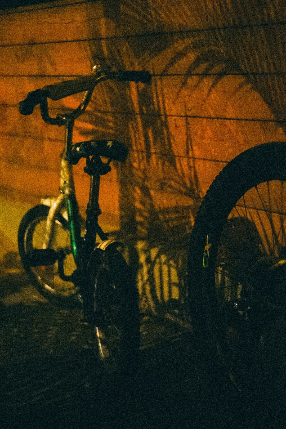 Велопрогулки в Сочи, Красной поляне, Сириусе. Фотограф в Сочи — Маргарита Поганова