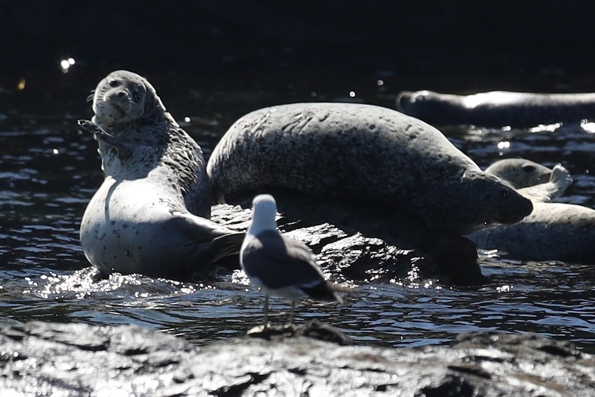 Пейзаж. Репортажный Фотограф во Владивостоке и России Осипчук Дмитрий