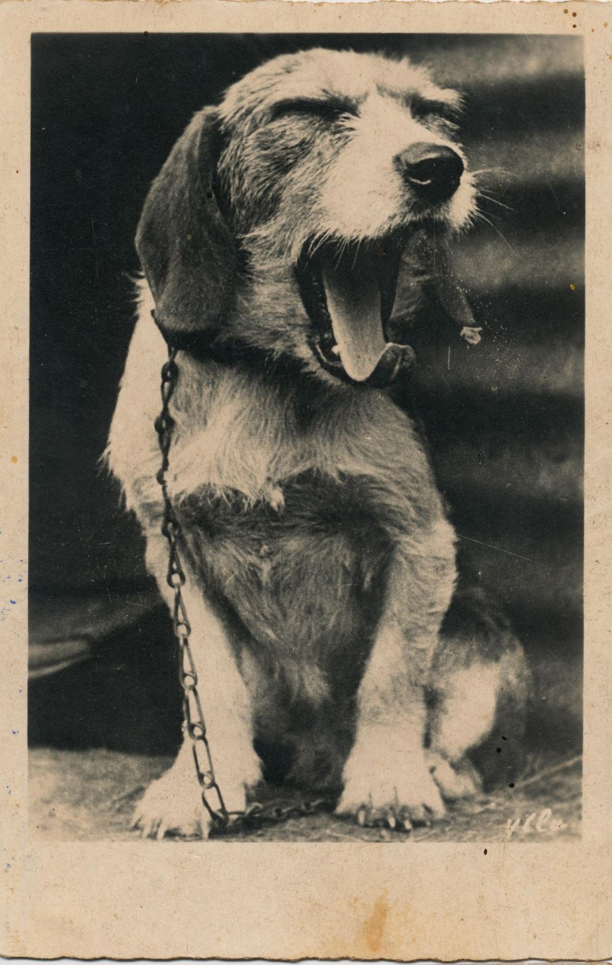 ИИ генерации. Фотограф Горячий Ключ|Предметный фотограф