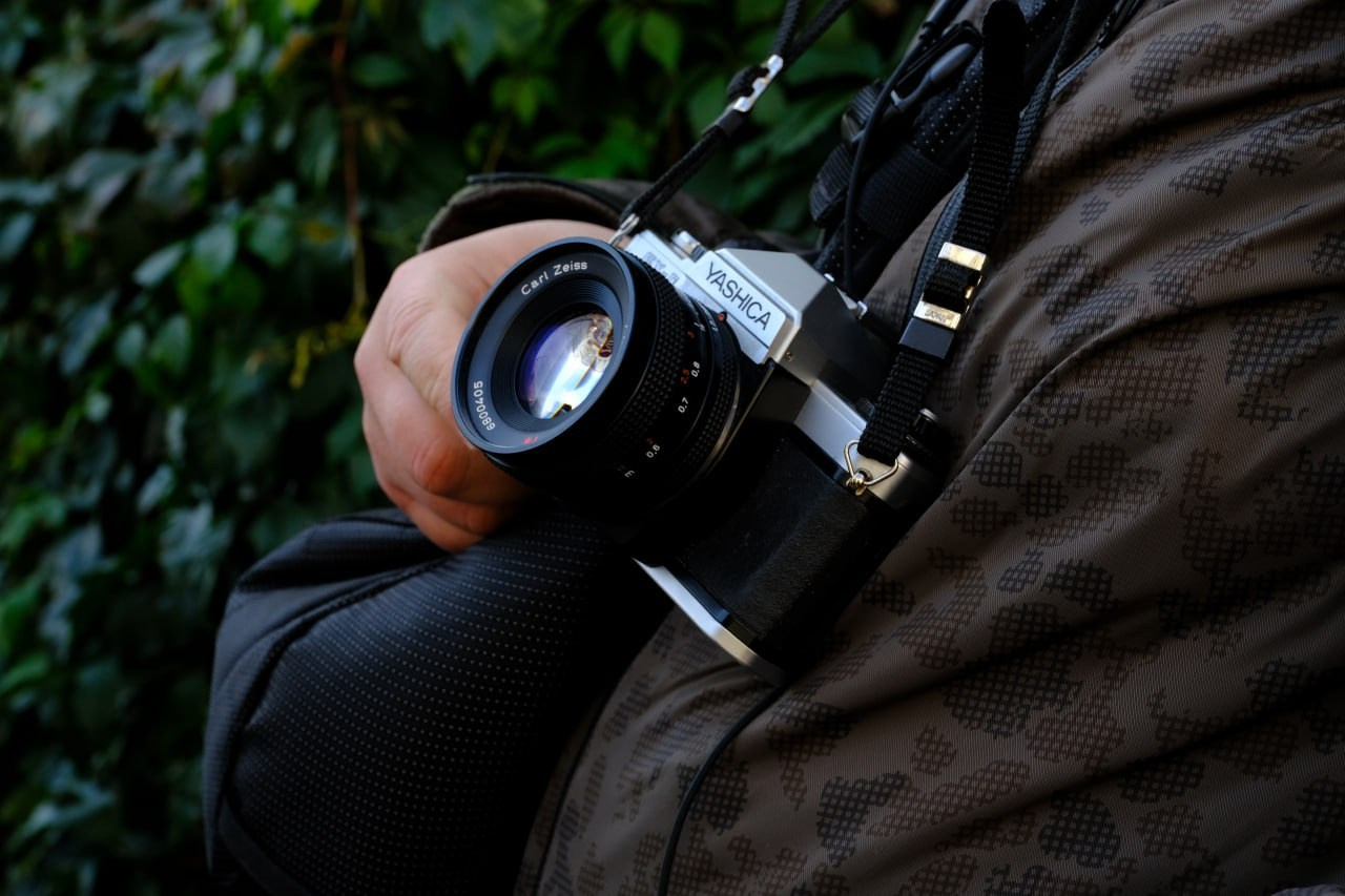 Автор: Анастасия Пиганова