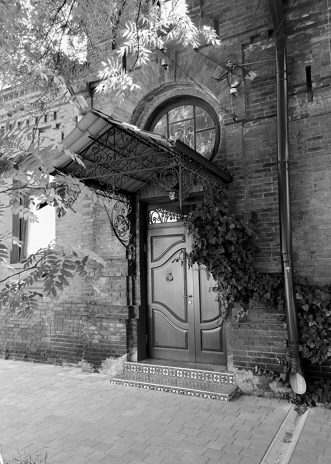 Мобильная фотография. Фотография — это воспоминания…