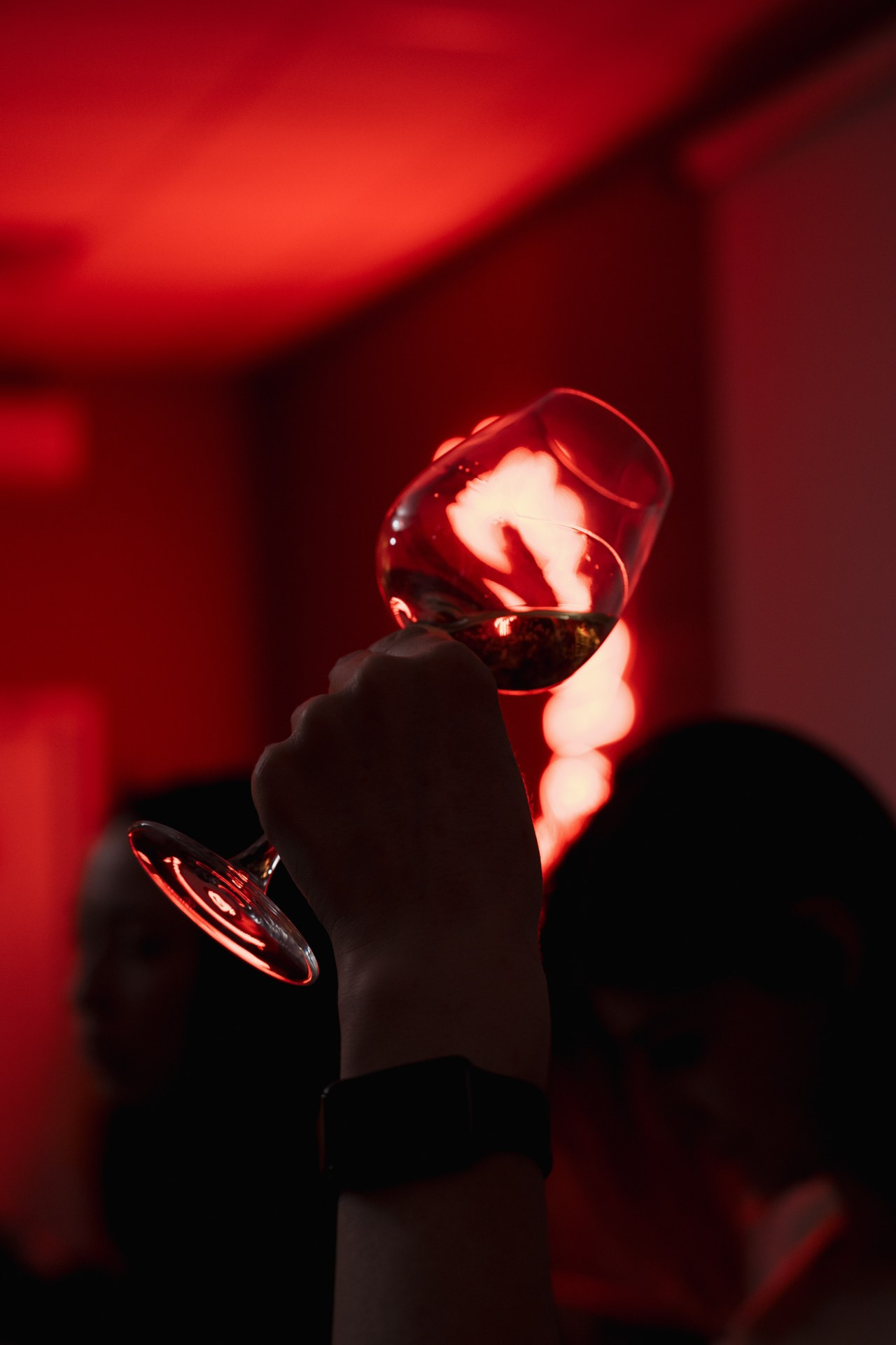 Корпоратив школьных фотографов. Night2Day Санкт-Петербург