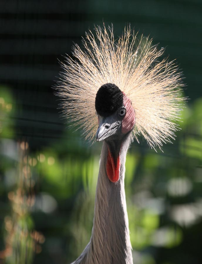 Работы учеников школы. Фотостудия Алматы. Фотосъемка Алматы. Фотосессия Алматы. Фотокурсы. Обучение фотографии. Аренда студии