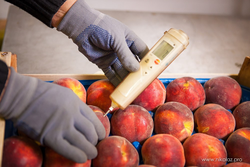 ДИКСИ склад. Видеооператор/Фотограф Николай Завьялов