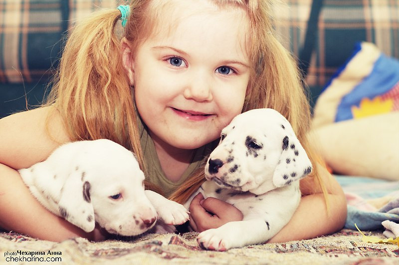 Детские фотосессии. Профессиональный фотограф Чехарина Анна / pro photographer Chekharina