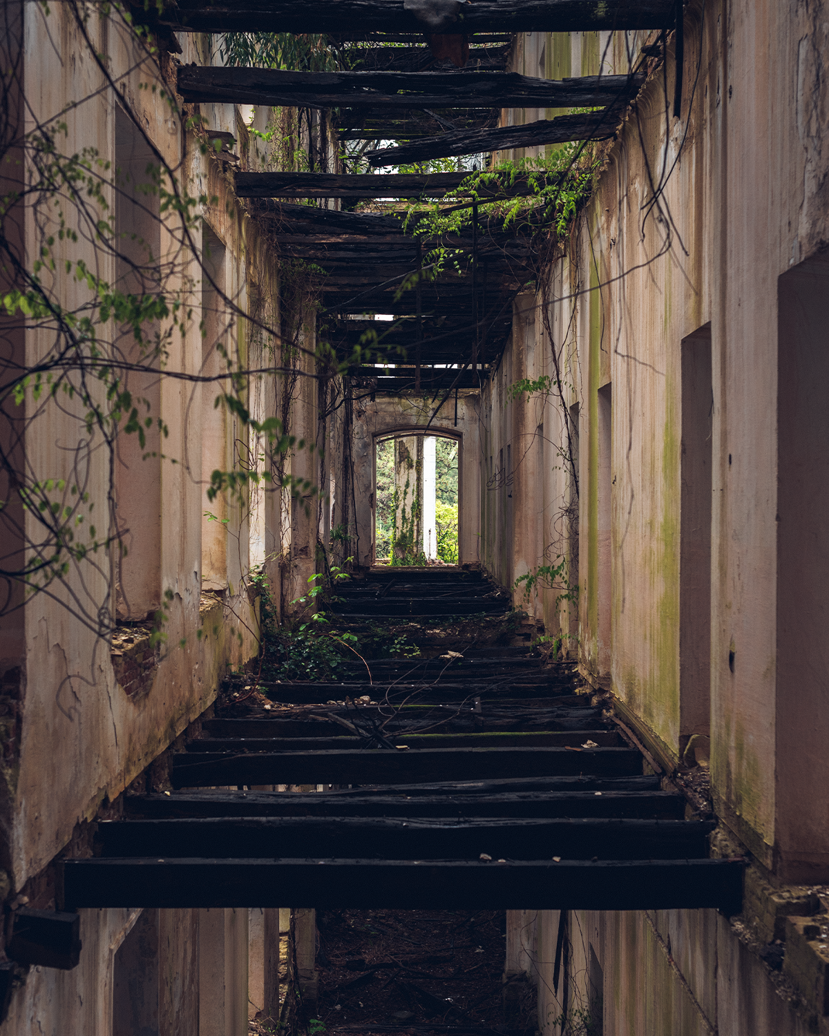 Абхазия в объективе: путешествие рекламного фотографа из Гуанчжоу. Коммерческий и предметный фотограф в Гуанчжоу Коваленко Александр