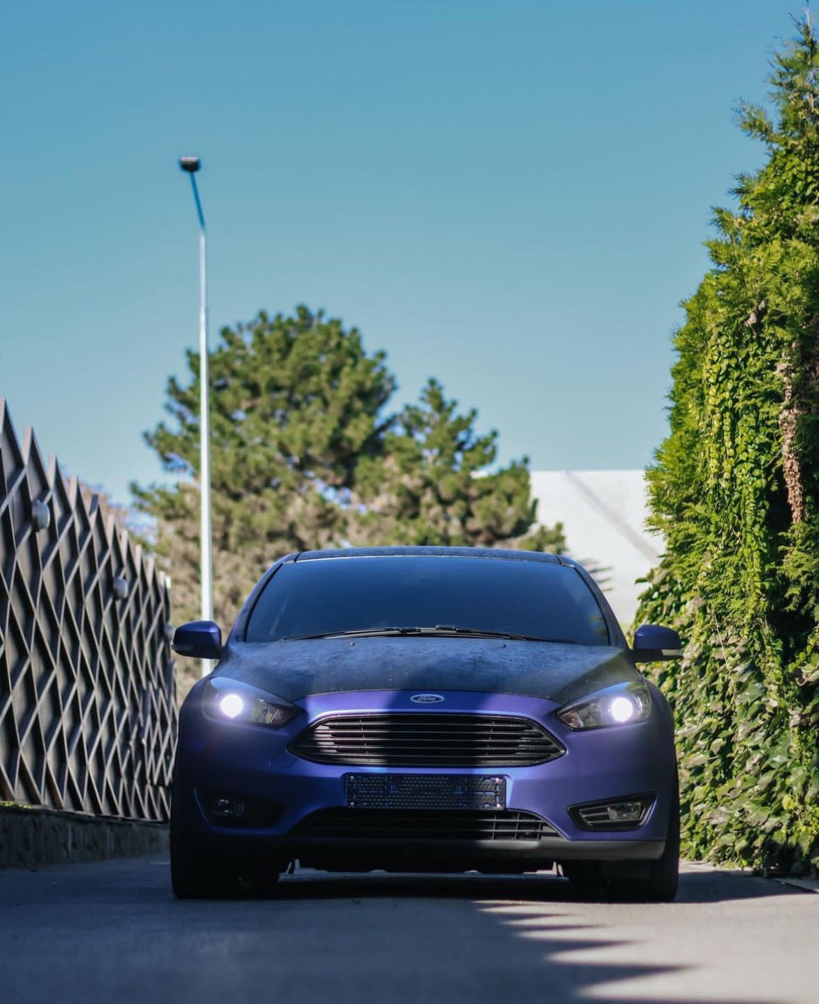 Авто. Mariyaschmidt