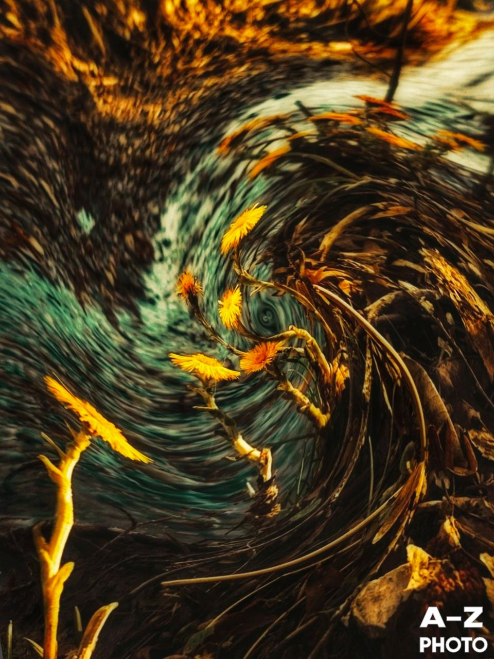 #ФОТОНЕДЕЛИ 23.03.2026. Женский семейный фотограф Тула Москва Захарова Анна