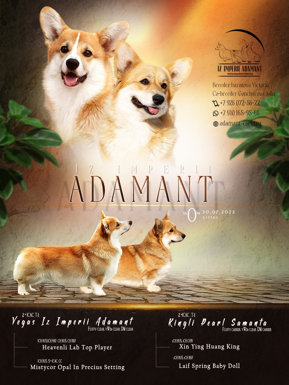 Презентации. Фотограф — анималист в Туле Юлия Лето