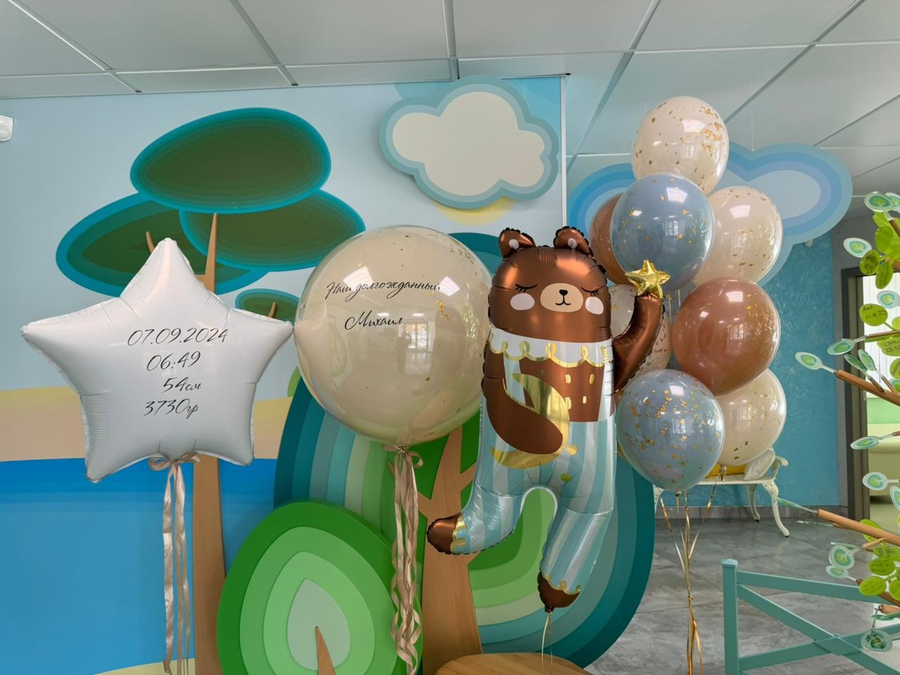 Фотограф в роддоме Сестрорецком г. Санкт-Петербург Банасиковская Ксения