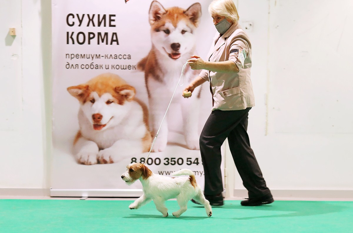 Port Fortis Zoom Zoom