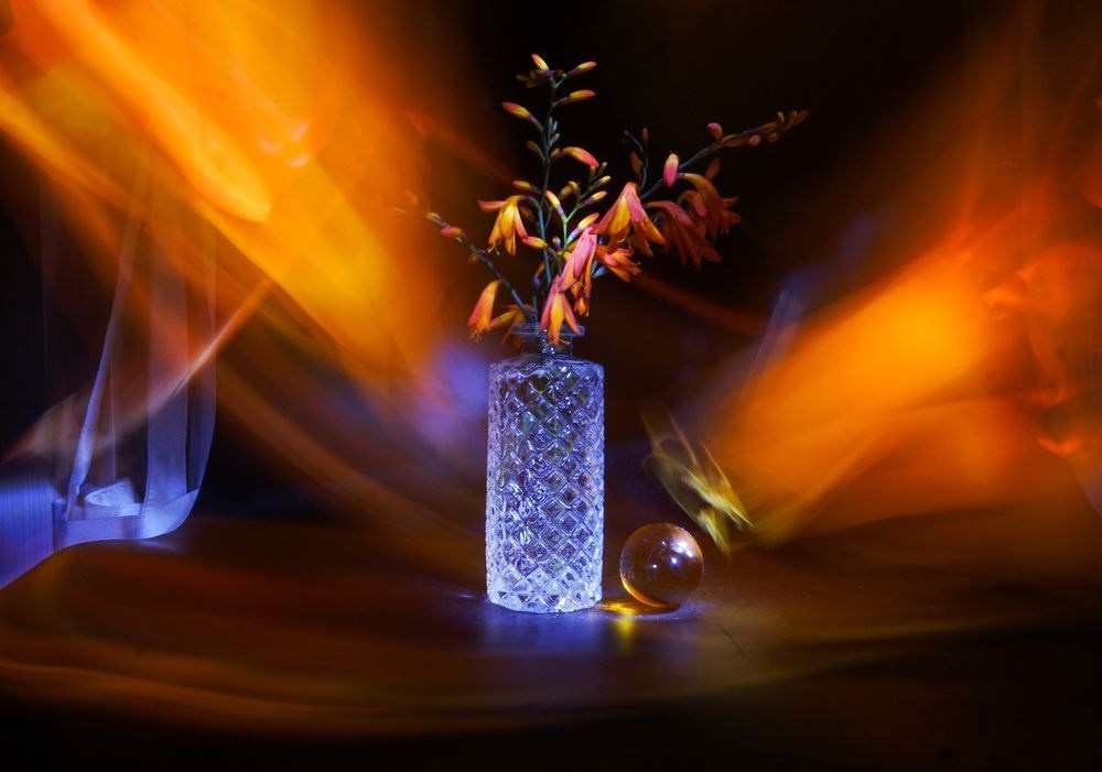 Пазлы. Фотохудожник Татьяна Бойцова