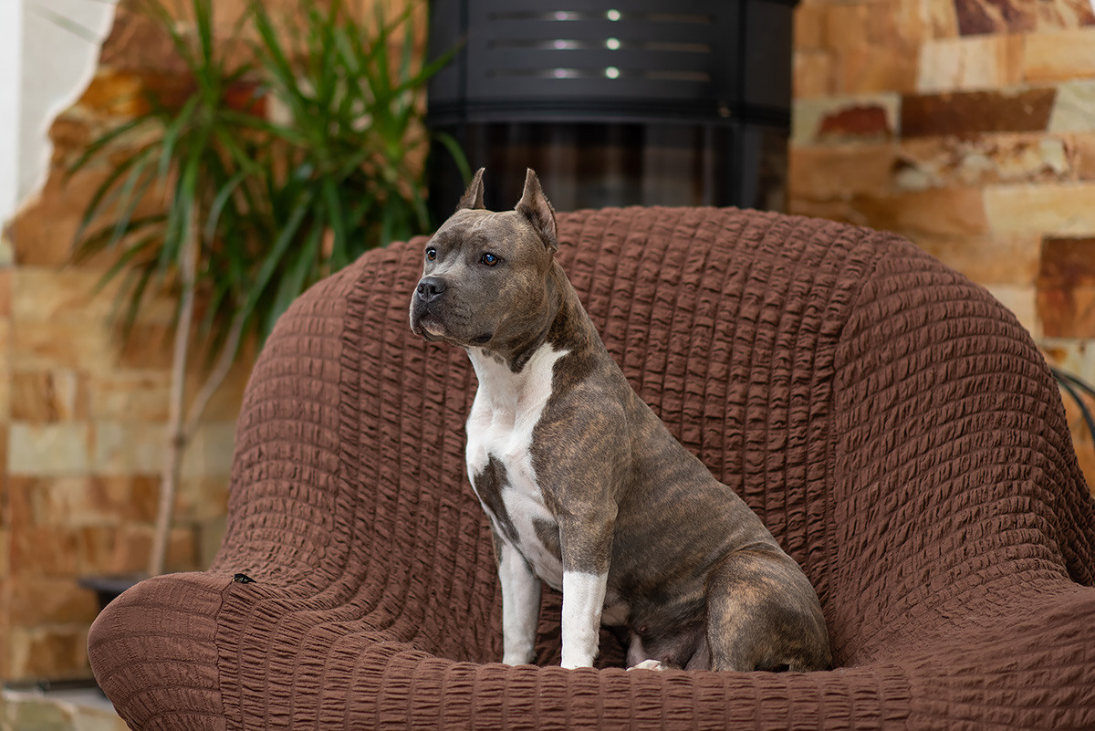 ЖЫВЁЛЫ. Вясельны і партрэтны фатограф Сяргей Клемянок