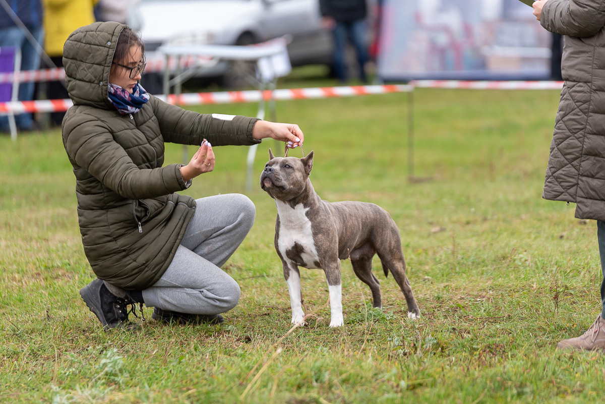 ЖЫВЁЛЫ. Вясельны і партрэтны фатограф Сяргей Клемянок