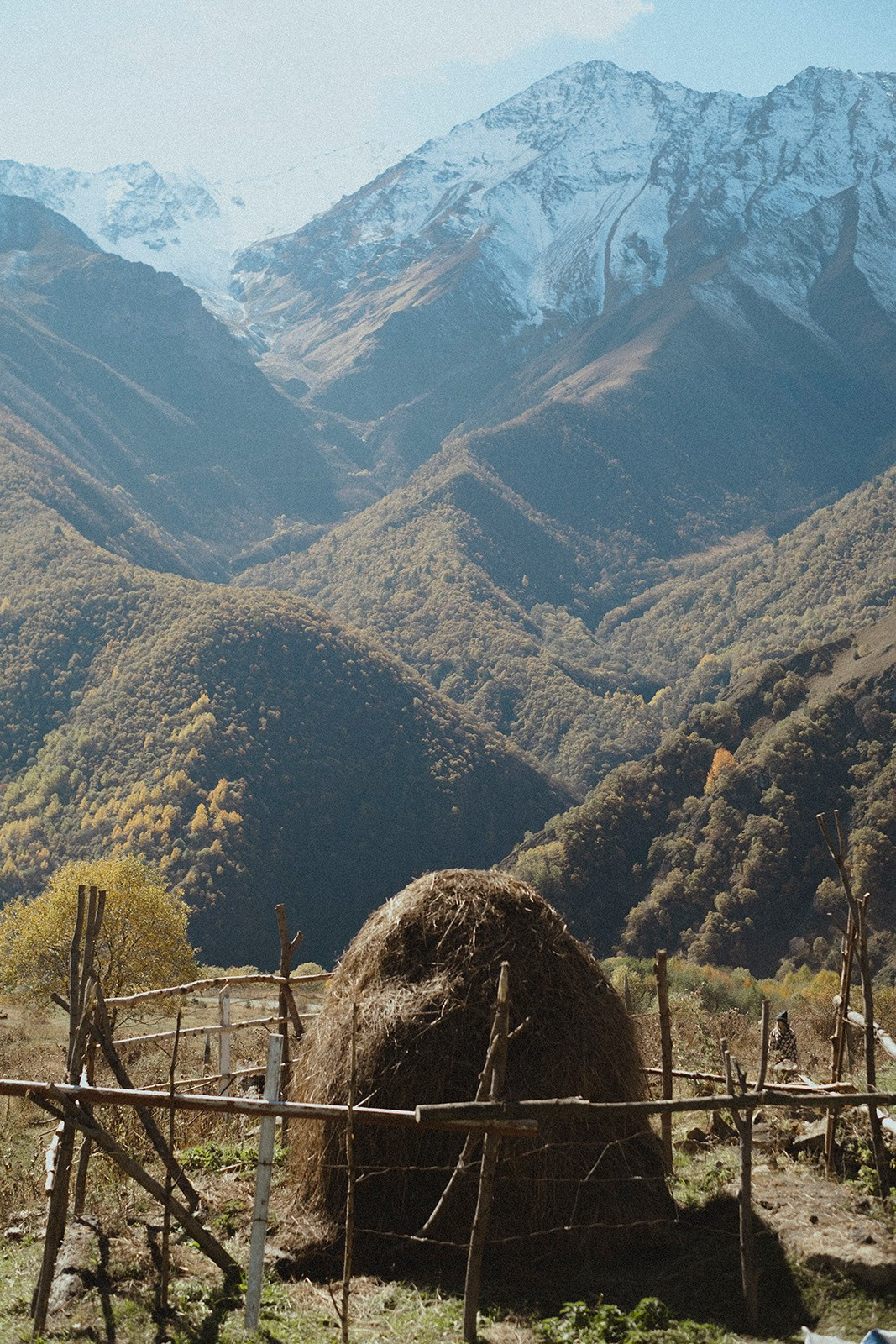Prints. North Ossetia