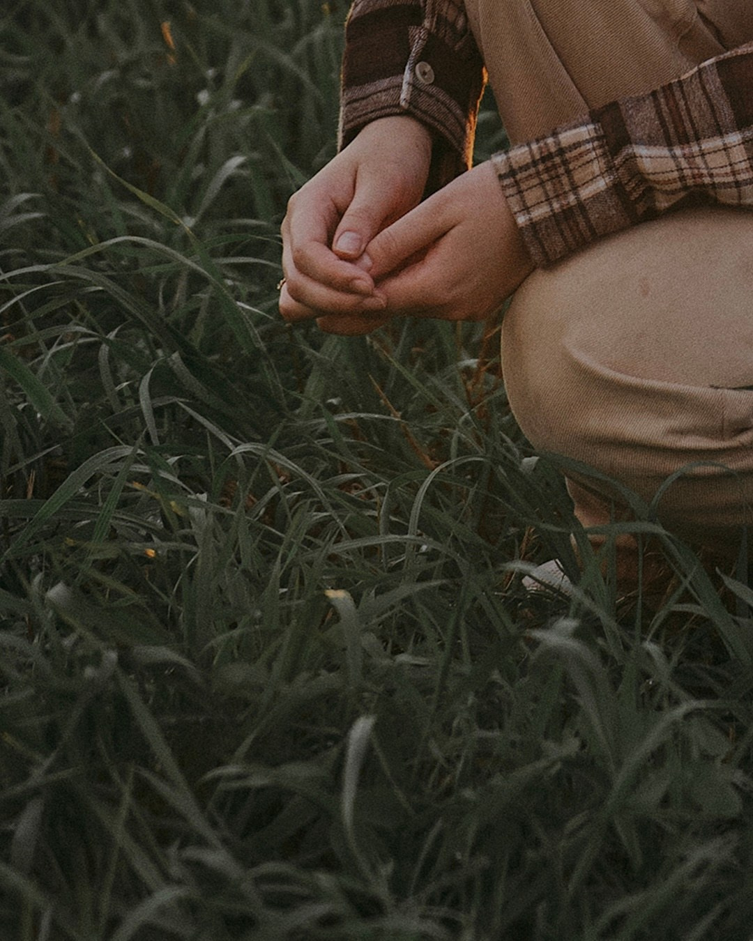 Мария и Джесси. Фотограф анималист в Москве и Санкт-Петербурге Свиридова Анна