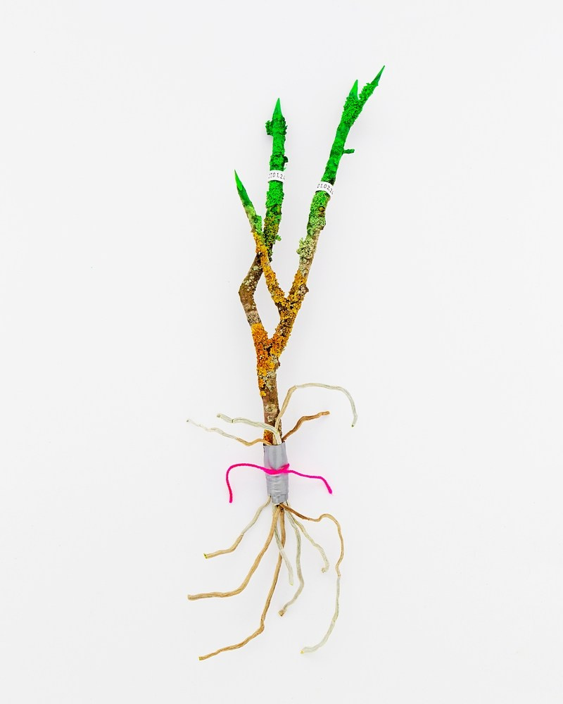 Острые предметы. Фотографии Саши Любина