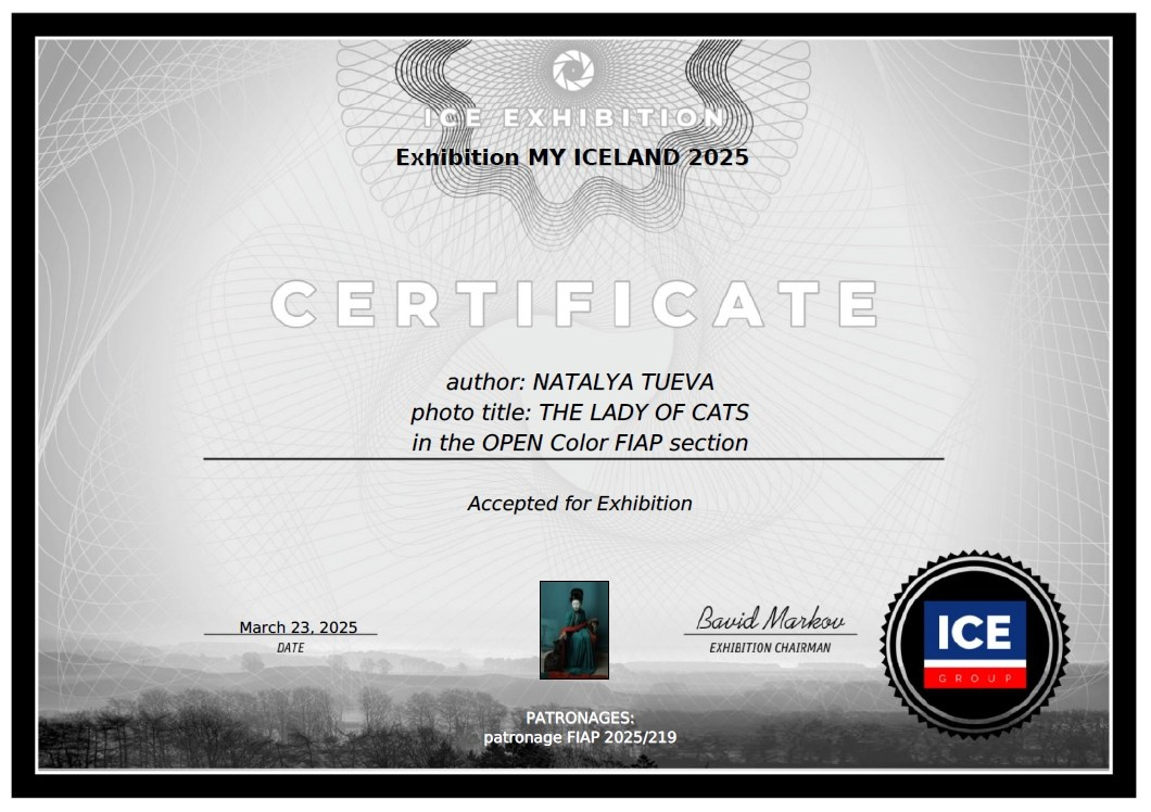 Дипломы и сертификаты. Фотограф Наталья Туева FineArt съёмка