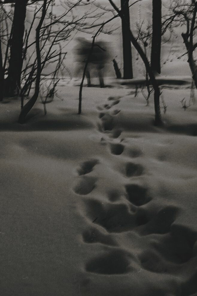 Иллюстрации повседневности. Brjankin.com