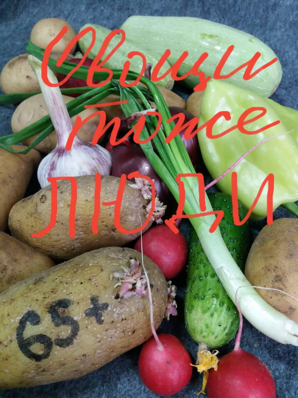 Изоляция — 2020. Картинная галерея пейзажей Москвы от художника Станислава Скобелева