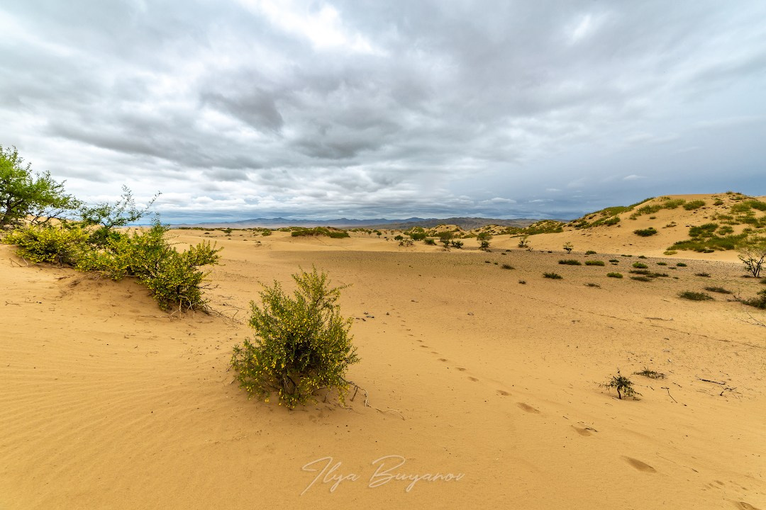 Монголия. Илья Буянов, гид по Байкалу, фотограф — baikalsky.com