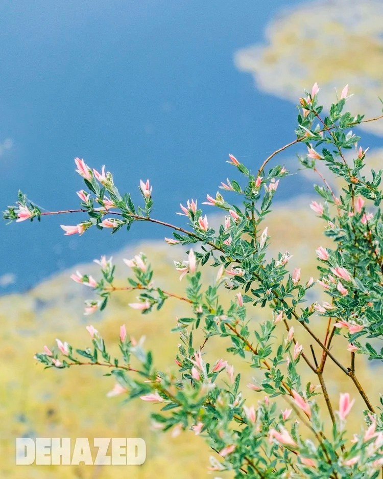 DEHAZED. Artisistic photographs of Lena Sokolova