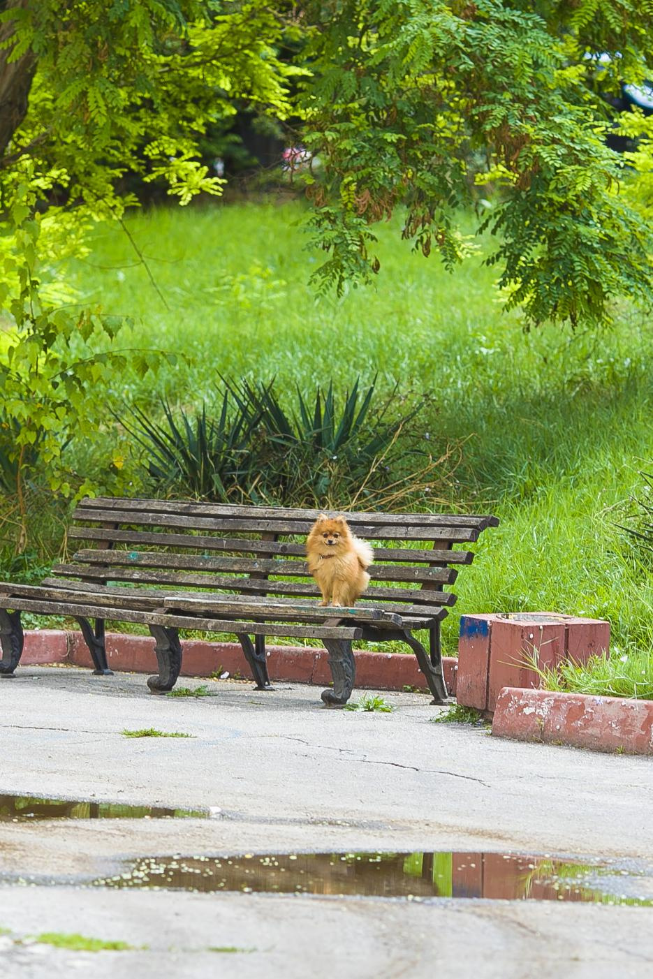 ПОРТФОЛИО ФОТОГРАФИЙ. Дизайн интерьера Керчь, дизайнер интерьера Еремина Мария Керчь, Симфер