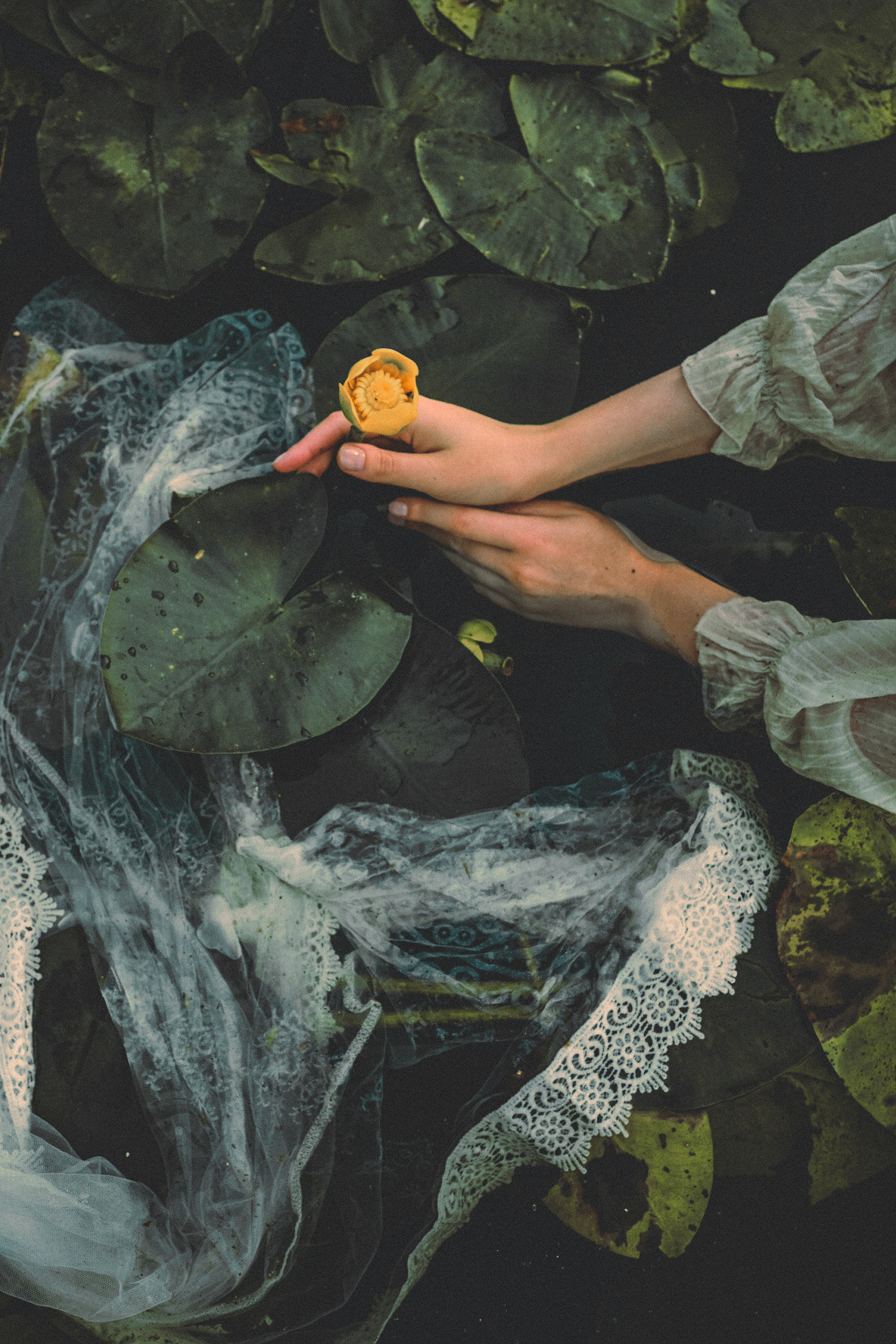 Portraits. Sia Levine Design