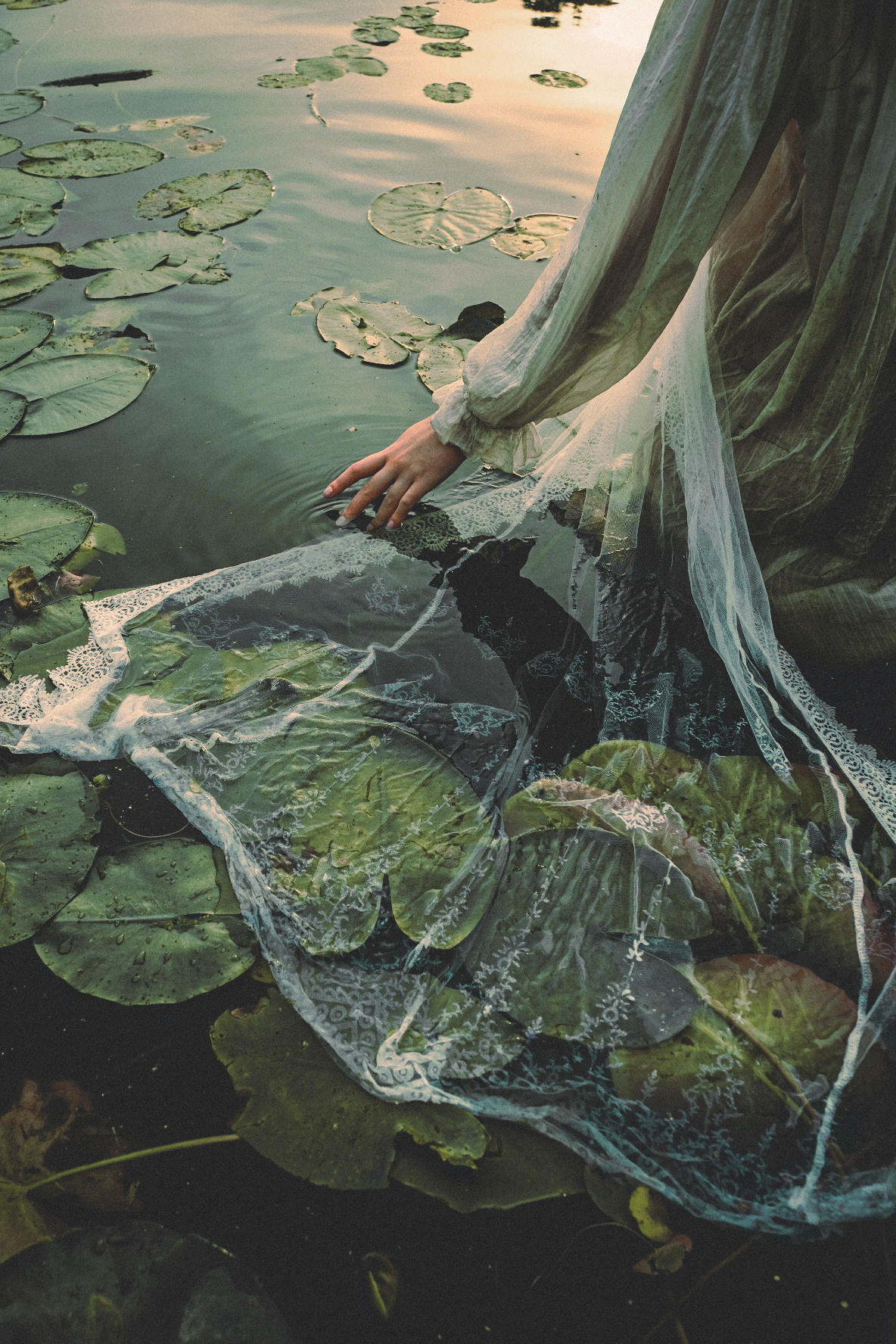 Portraits. Sia Levine Design