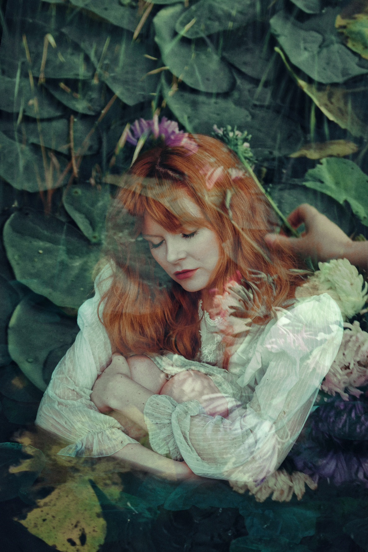 Portraits. Sia Levine Design