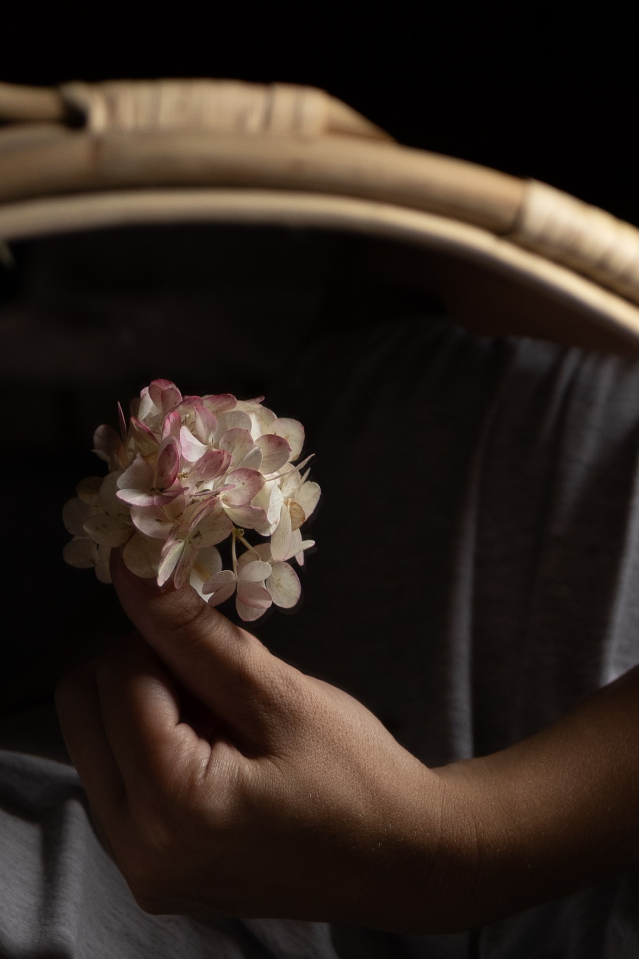 Стоимость. Фотограф Катя Киселева