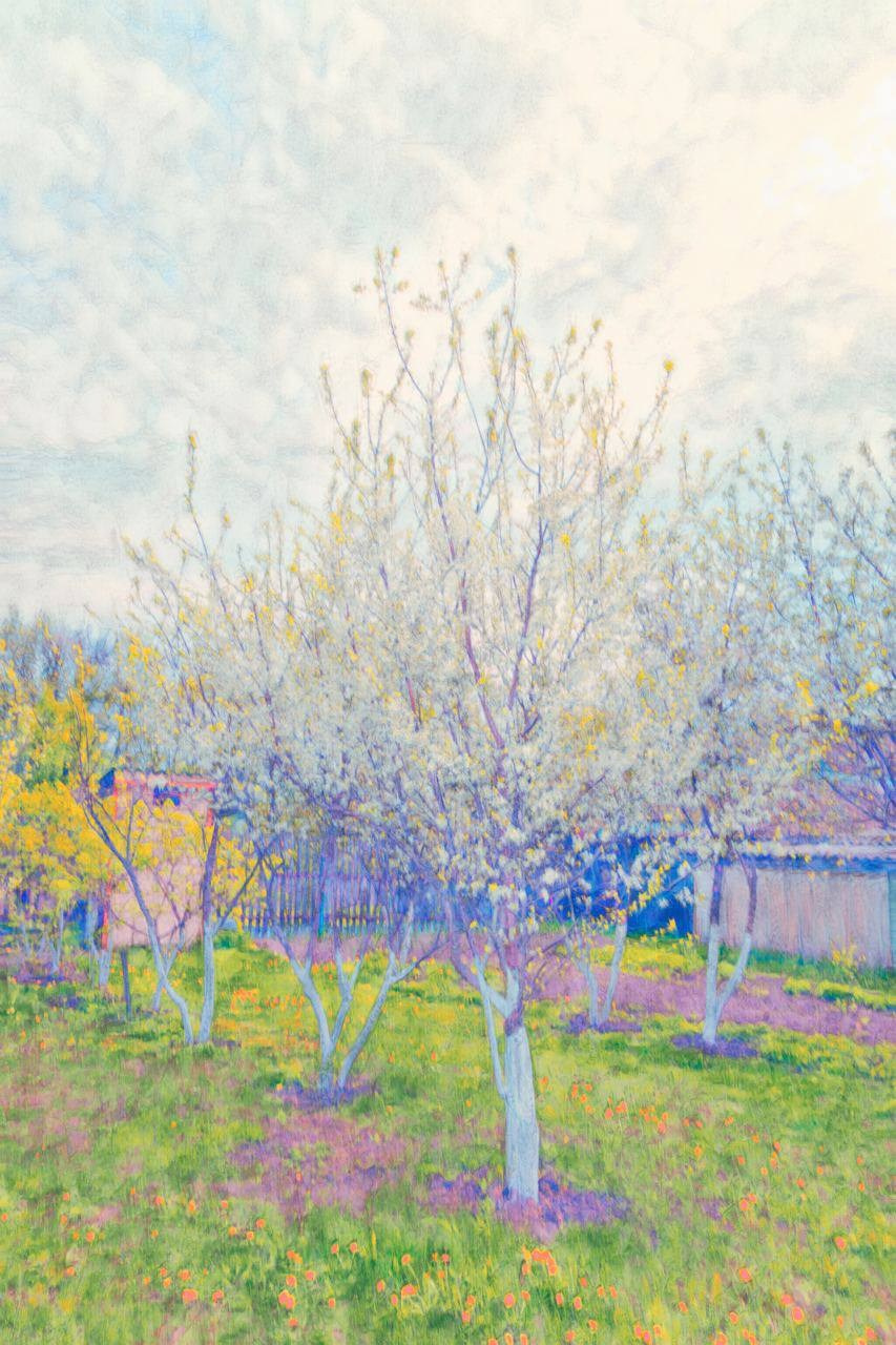 Галерея 1. Наталья Жукова. Курсы фотографии