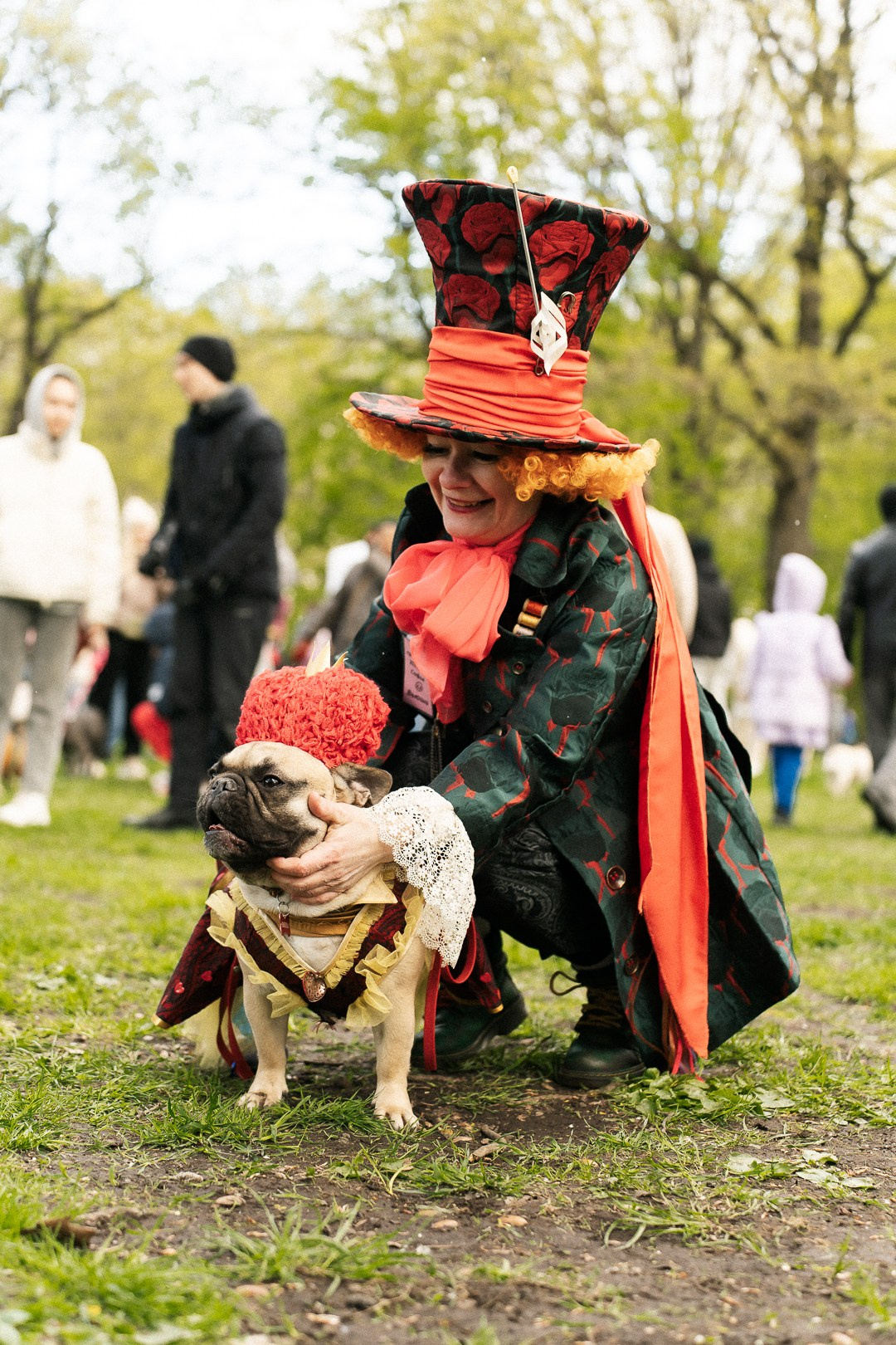 Парад Бульдогов. Axenov_eugene