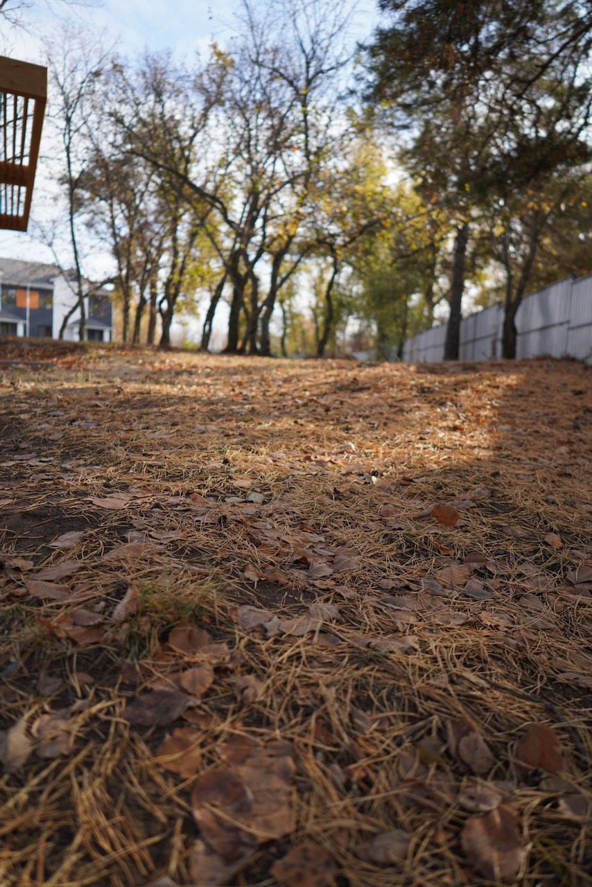 ЖК Приозерный. Das House