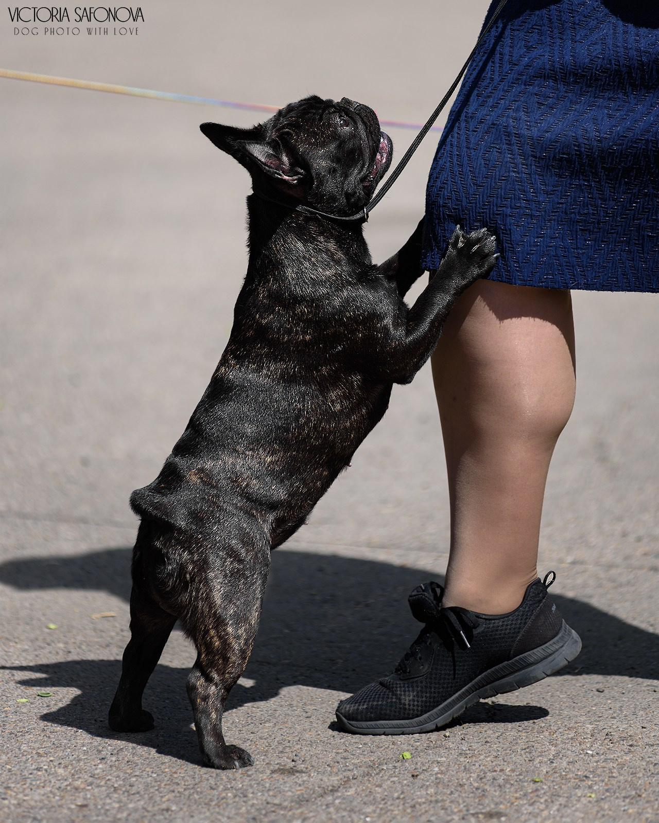 18–19 мая 2024 Благовещенск. Фотограф анималист Благовещенск. Сафонова Виктория