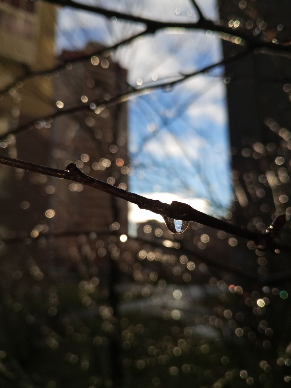 Природа. Фотокружок «Видоискатель» ГБОУ СОШ № 291