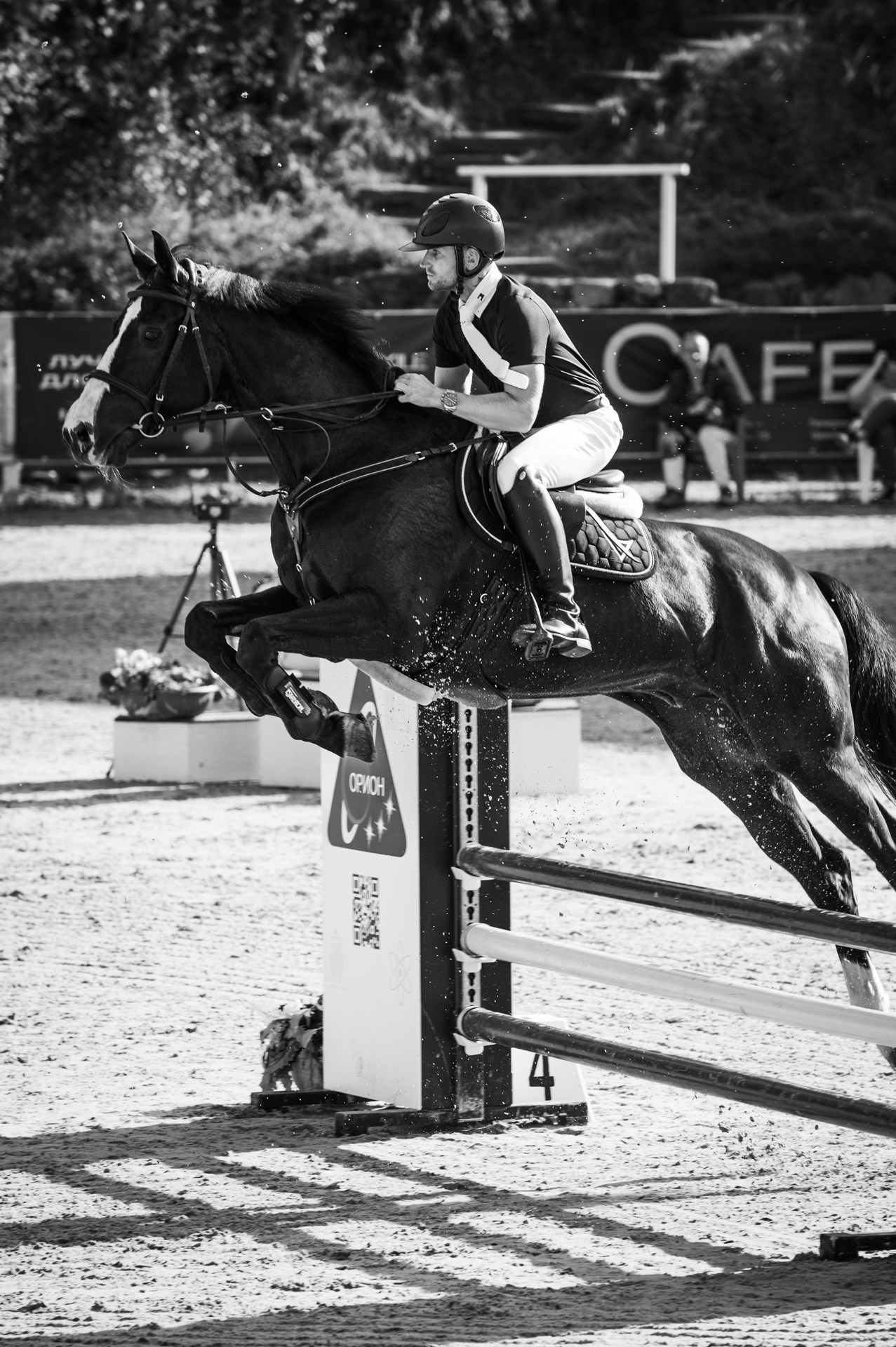 Конный спорт. Alexandrovna photography
