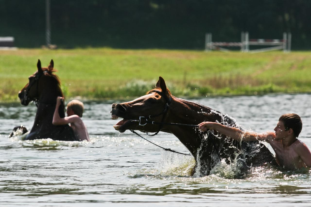 ФОТОЖУРНАЛИСТИКА. Репортажный фотограф в Минске. Алексей Матюшков